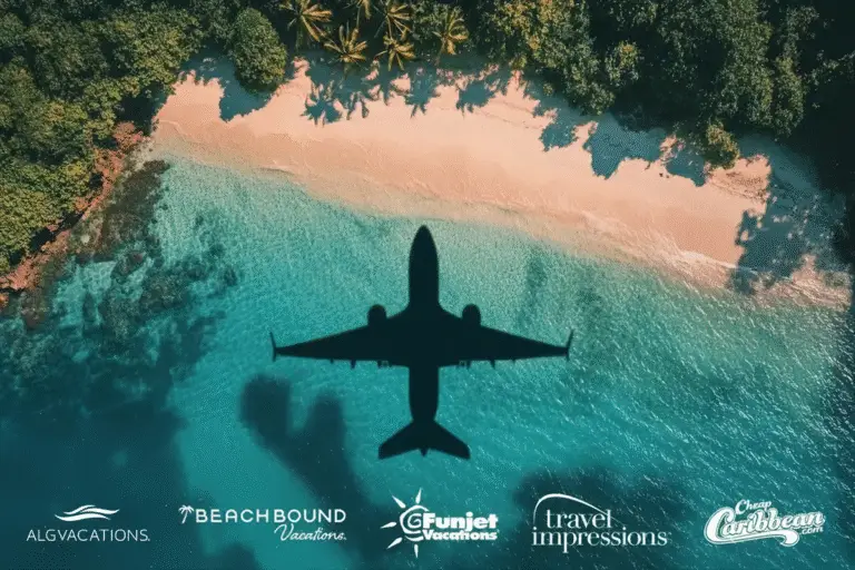 Plane Silhouette over beach coastline with partner logos on bottom